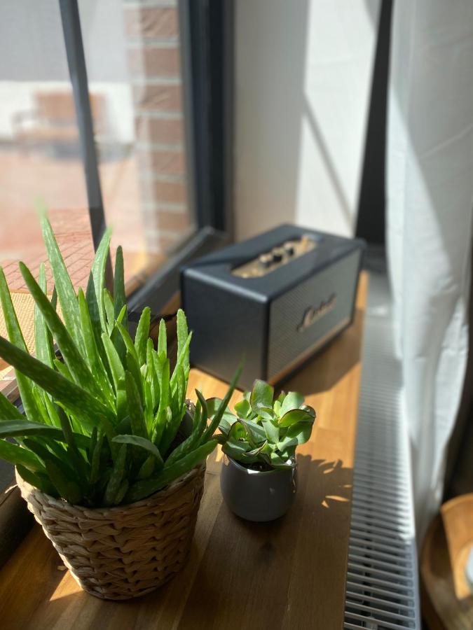 Appartamento Nordic Huus Butjadingen Esterno foto